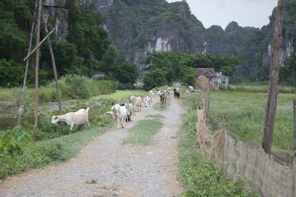 Valley Privatunterkunft *